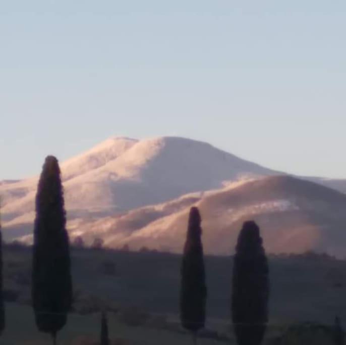 Villa Marta Contignano Luaran gambar