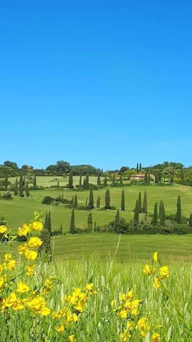 Villa Marta Contignano Luaran gambar